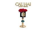 L’ESSENCE DU ROSE - CHẬU HOA HỒNG ELIZABETH D12 - CẬU HAI HOME DECOR