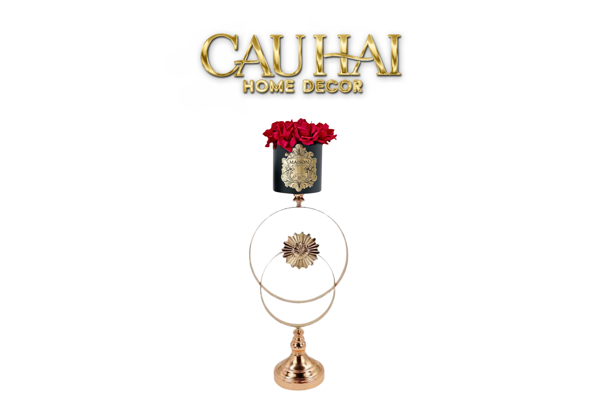 L’ESSENCE DU ROSE 12 - CHẬU HOA HỒNG SOLAR ECLIPTICA H60 - CẬU HAI HOME DECOR