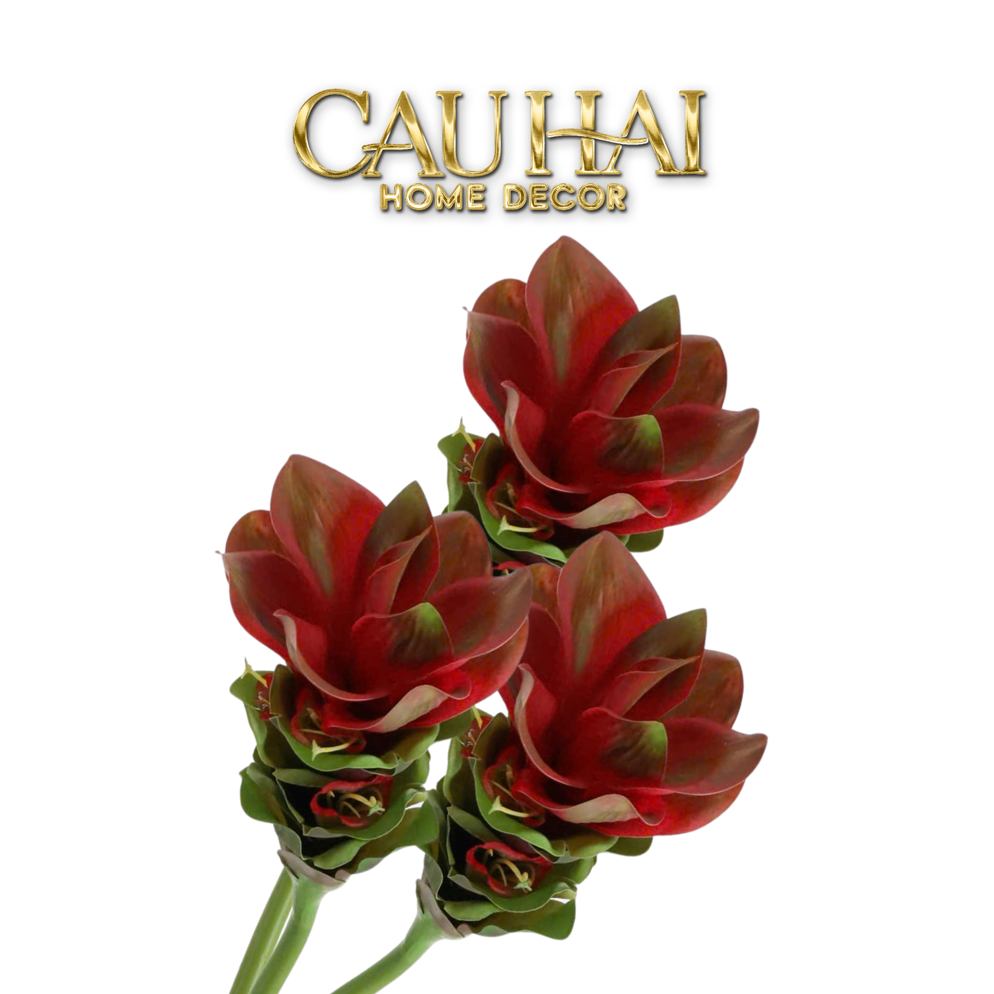 SET 2 CÀNH HOA GỪNG CRIMSON TORCH GINGER BLOOM - CẬU HAI HOME DECOR