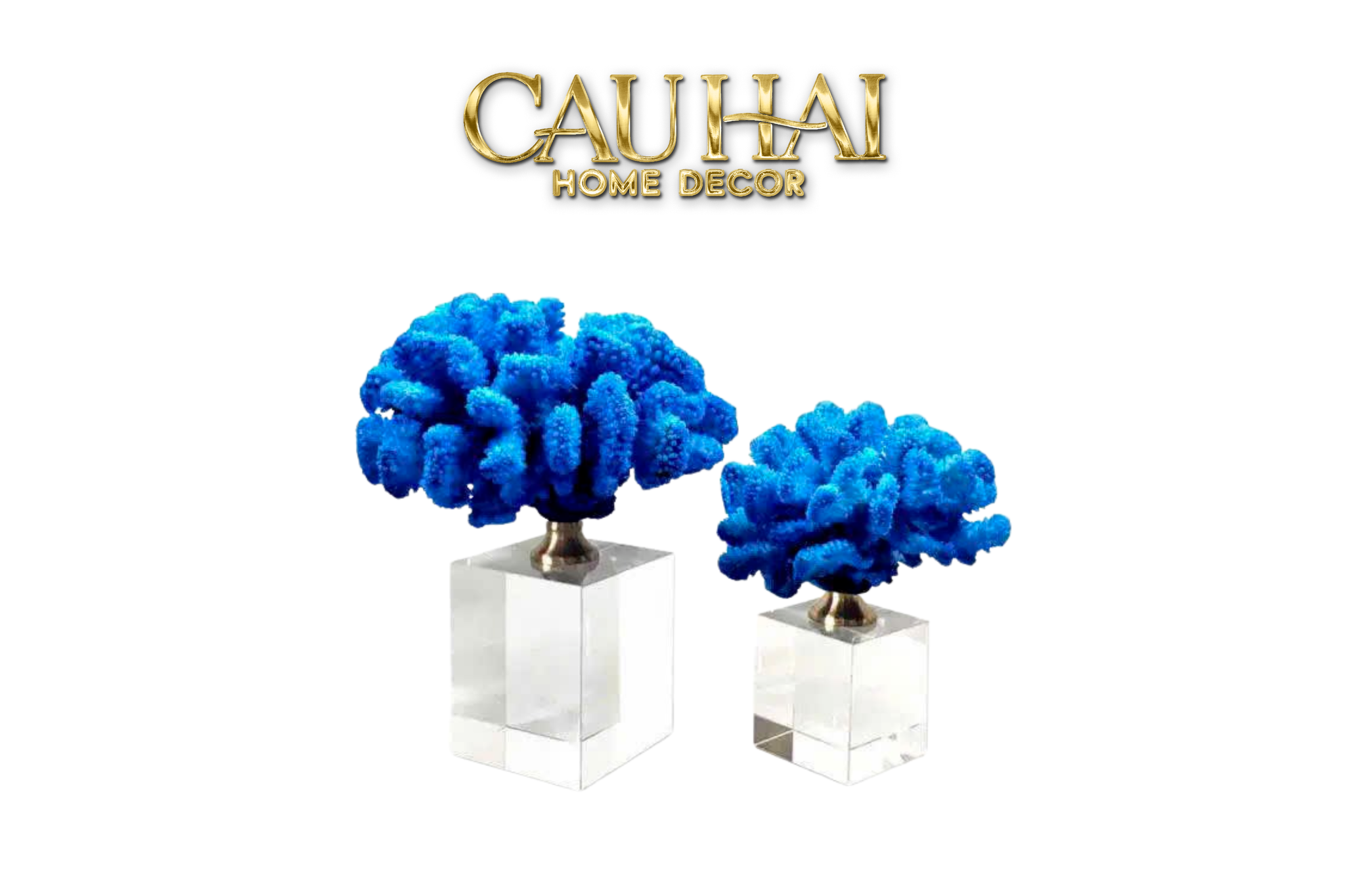HOME COUTURE - SET 2 TƯỢNG SAN HÔ AZURE TIDAL AETHER CORALS CRYSTAL BASE. - CẬU HAI HOME DECOR