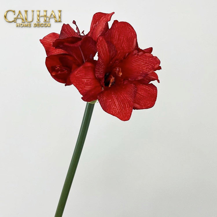 CÀNH HOA HUỆ TỨ PHƯƠNG - SCARLET ROUGE MATTE - CẬU HAI HOME DECOR