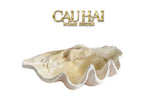 HOME COUTURE - KHAY VỎ SÒ MIRAGE PEARL SEASHELL TRAY D33 - CẬU HAI HOME DECOR