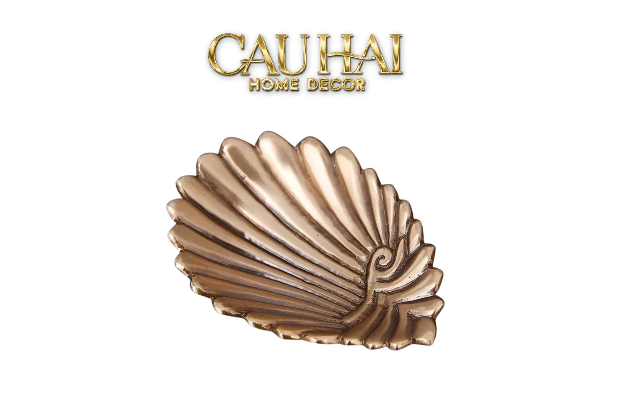ĐĨA TRANG SỨC CONQUE D’AEGEAN - BRASSON JEWELRY SHELL TRAY - CẬU HAI HOME DECOR