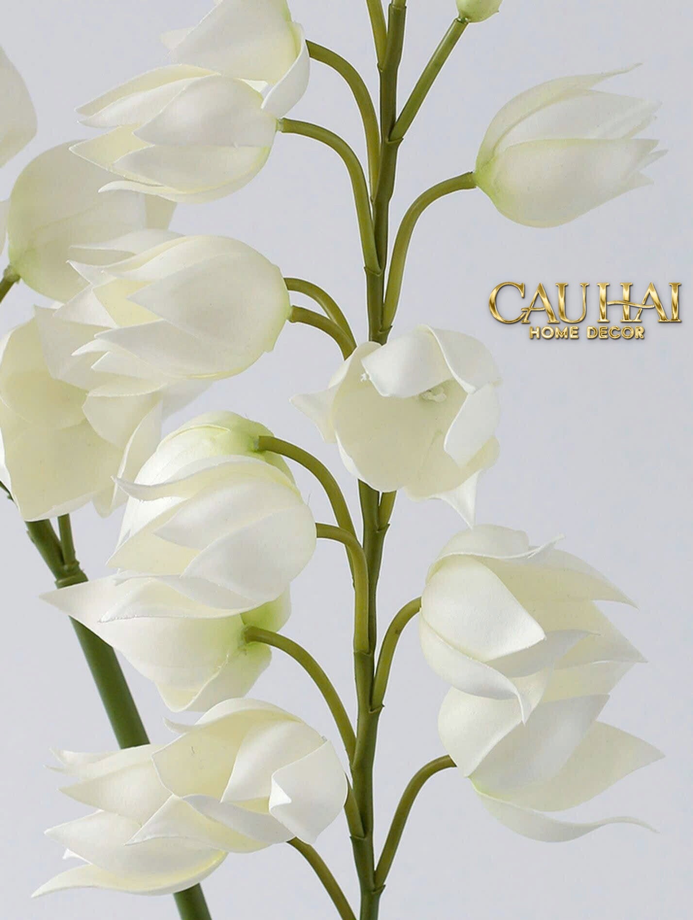 SET 2 CÀNH HOA LAN YUCCA-CẬU HAI HOME DECOR