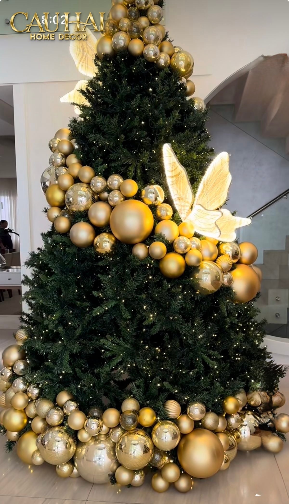 FÊTES COUTURE - CÂY THÔNG PAPILLONS D'OR LUMIÈRE 2M4 - CẬU HAI HOME DECOR