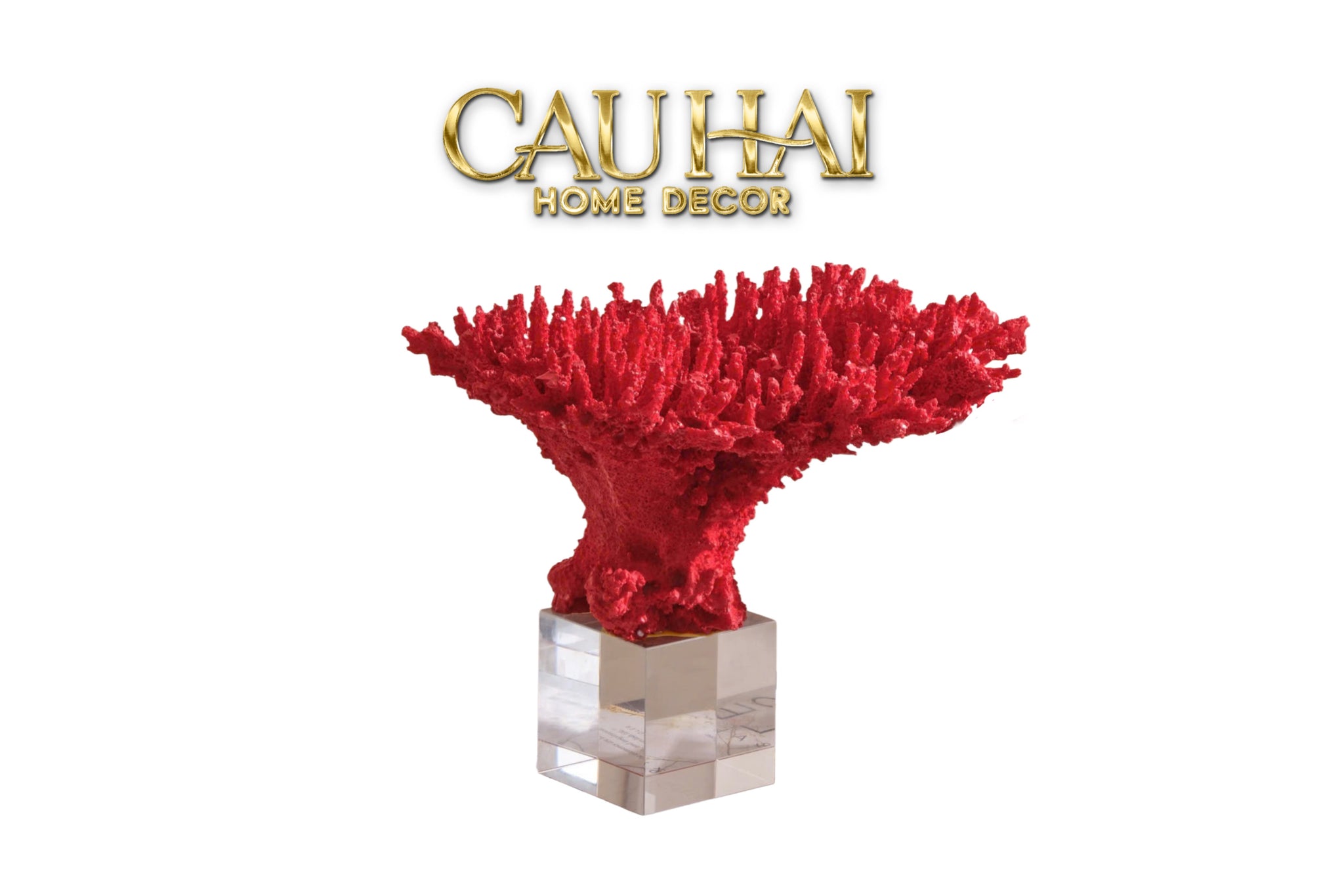 HOME COUTURE - TƯỢNG SAN HÔ CORAL - FLAME FW25 - CẬU HAI HOME DECOR