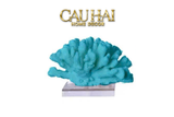 Tượng San Hô Azure Coral - CẬU HAI HOME DECOR