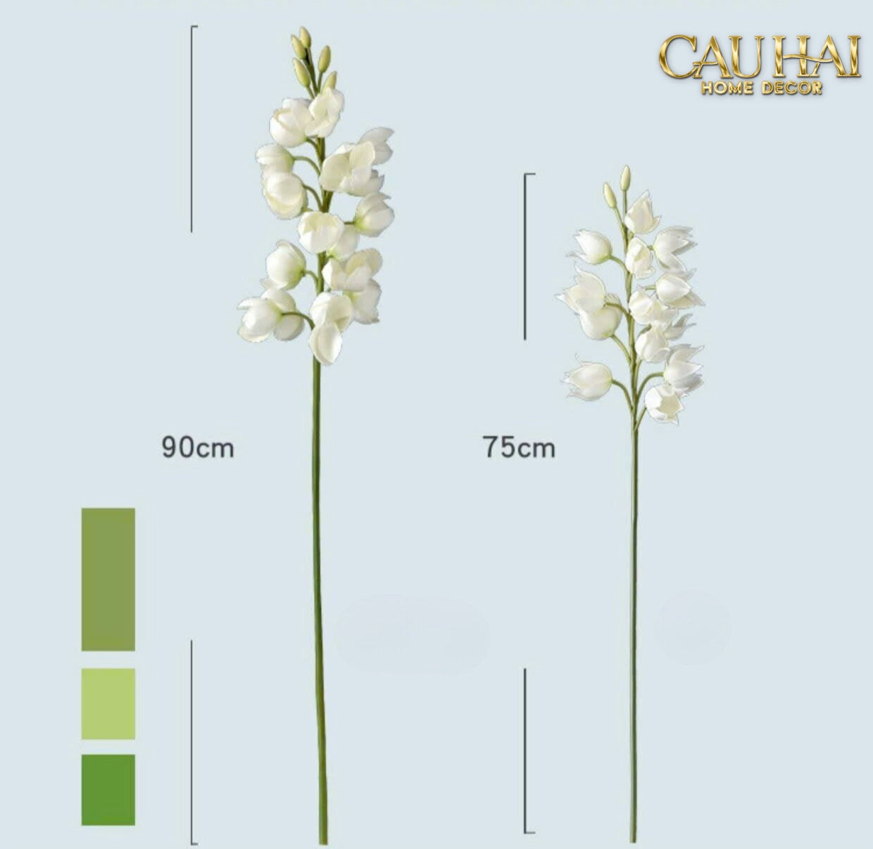 SET 2 CÀNH HOA LAN YUCCA-CẬU HAI HOME DECOR