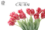 SET 2 CÀNH HOA PARROT TULIP POWDER PINK / FUCHSIA - CẬU HAI HOME DECOR