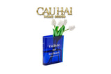 Bình Hoa Acrylic Book About Flower-BÌNH HOA-Đối tác tại Trung Quốc theo từng đơn đặt hàng-BLUE-CẬU HAI HOME DECOR