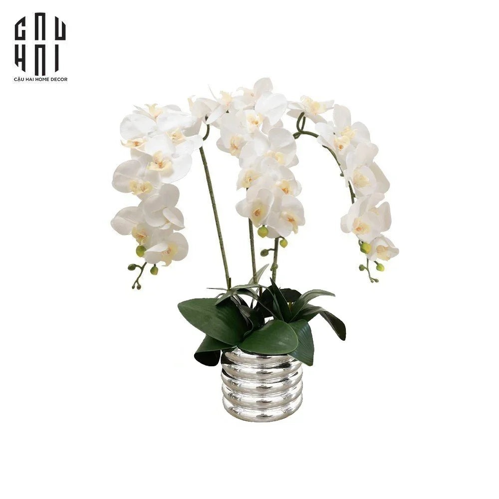 BÌNH HOA LAN TRẮNG - WHITE ORCHID - CẬU HAI HOME DECOR