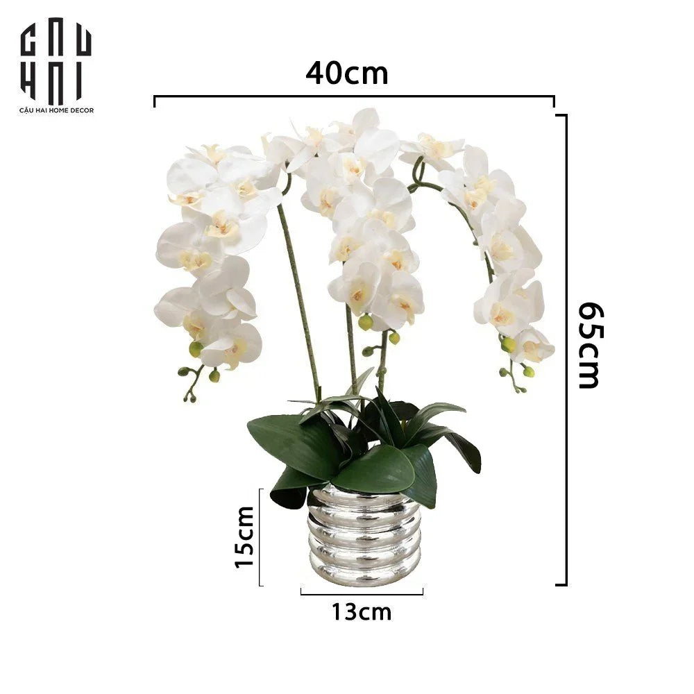 BÌNH HOA LAN TRẮNG - WHITE ORCHID - CẬU HAI HOME DECOR