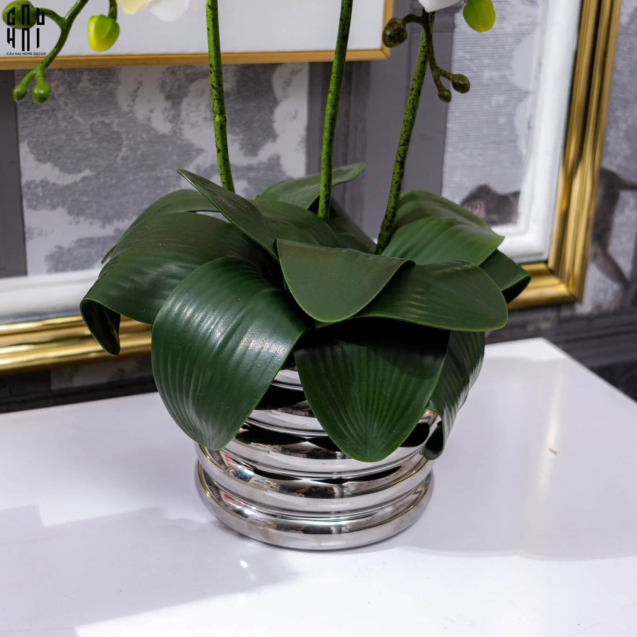 BÌNH HOA LAN TRẮNG - WHITE ORCHID - CẬU HAI HOME DECOR