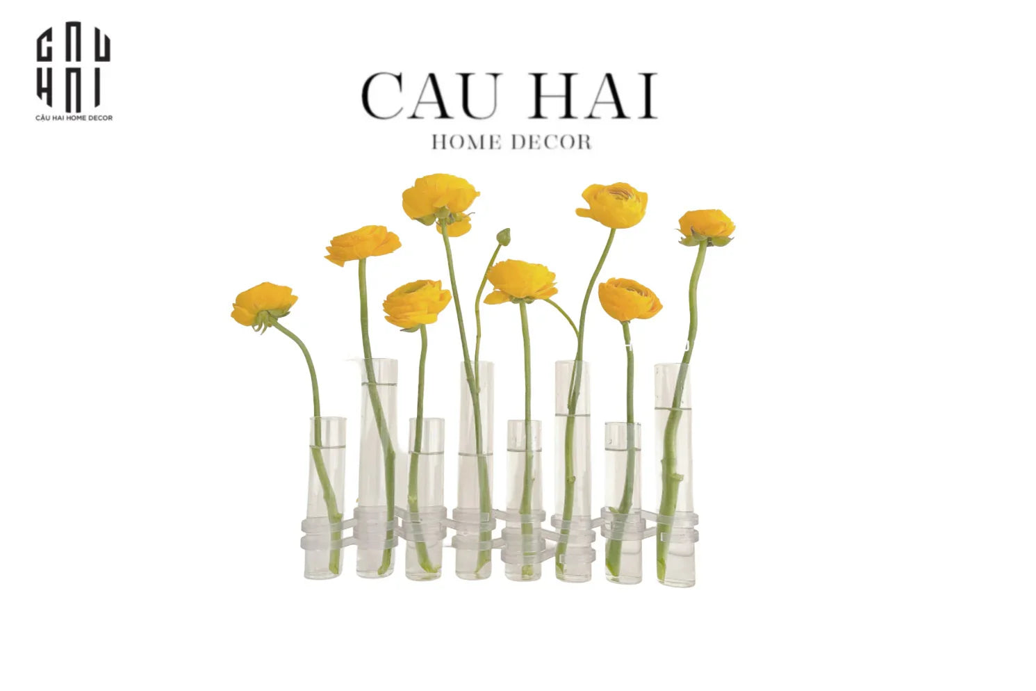 BÌNH HOA THUỶ TINH TRANG TRÍ CHEMISTRY-CẬU HAI HOME DECOR