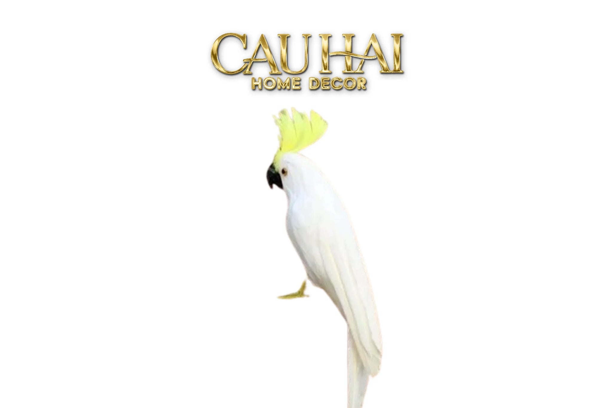 Bird Of Paradise - Heavenly Phénix Collection Privée-CẬU HAI HOME DECOR