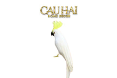 Bird Of Paradise - Heavenly Phénix Collection Privée-CẬU HAI HOME DECOR