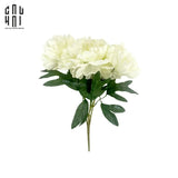 BÓ 5 HOA MẪU ĐƠN PEONY TRẮNG-CẬU HAI HOME DECOR
