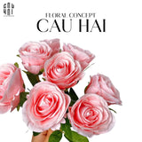 BÓ 8 HOA HỒNG CAM BABE-CẬU HAI HOME DECOR