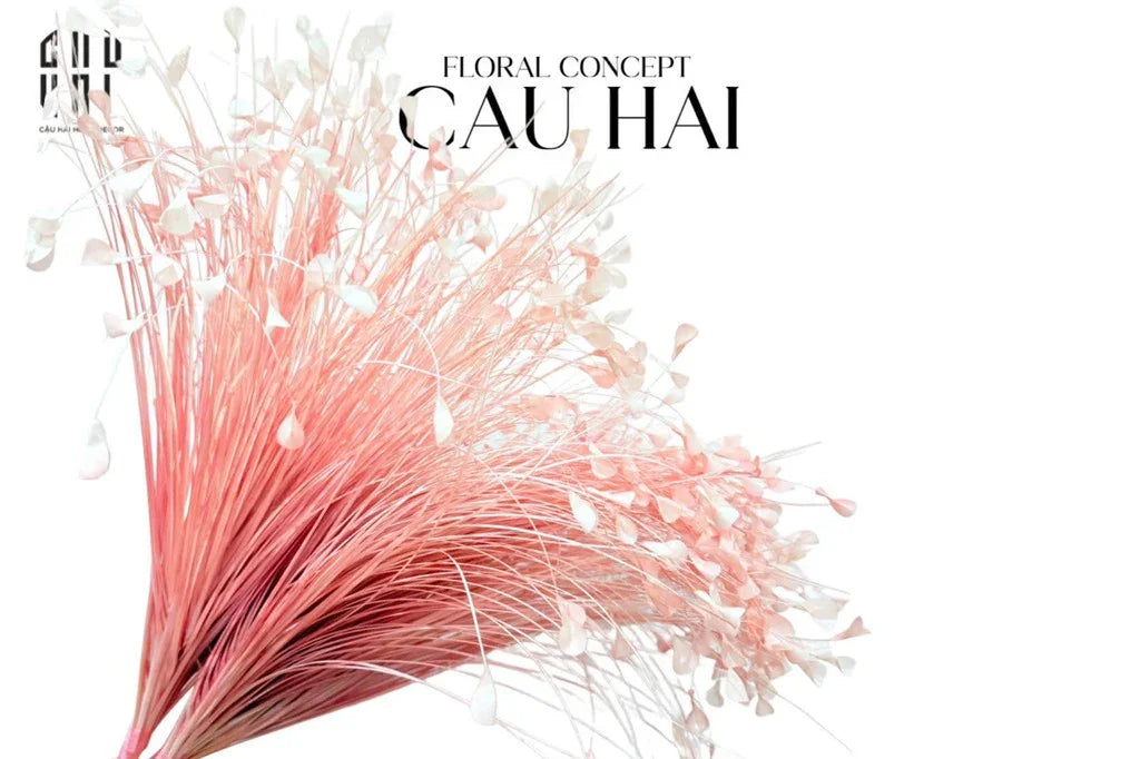 BÓ CỎ KHỔNG TƯỚC - PINK-CẬU HAI HOME DECOR