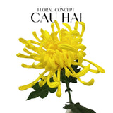 Cành Hoa Cúc Đại Đoá Vienna - Red / Yellow / Pink-Hoa Lụa-Đối tác tại Trung Quốc theo từng đơn đặt hàng-Citron Yellow-CẬU HAI HOME DECOR