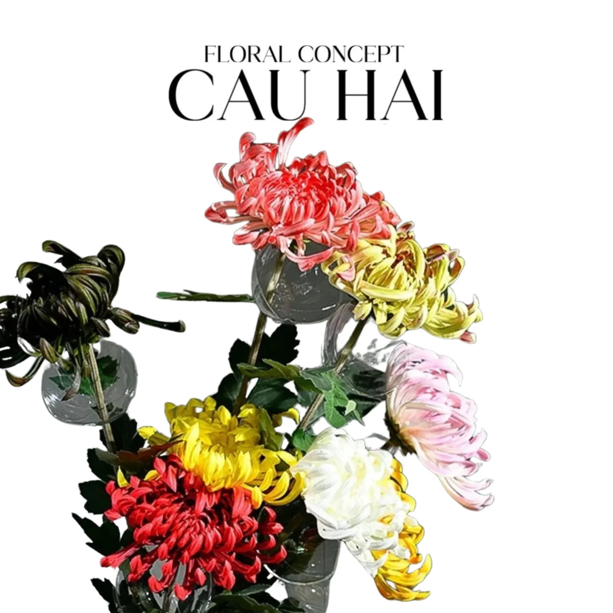 CÀNH HOA CÚC ĐẠI ĐOÁ VIENNA - RED/YELLOW/PINK - CẬU HAI HOME DECOR