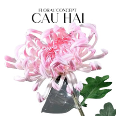Cành Hoa Cúc Đại Đoá Vienna - Red/Yellow/Pink-CẬU HAI HOME DECOR