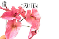 Cành Hoa Hồng Môn - Super Pink-CẬU HAI HOME DECOR