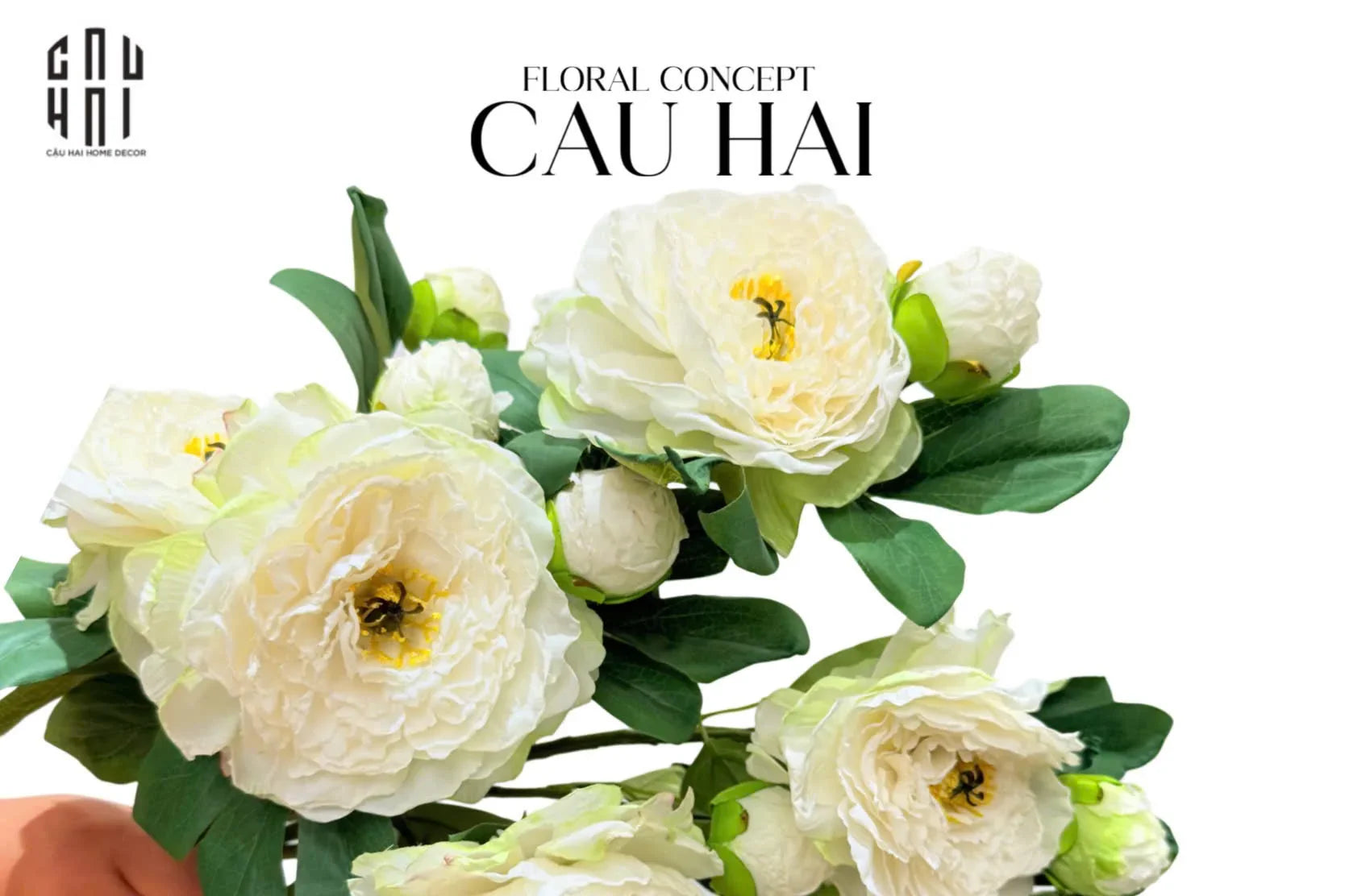 CÀNH HOA MẪU ĐƠN PEONY LACTIFLORA
 - WHITE - CẬU HAI HOME DECOR