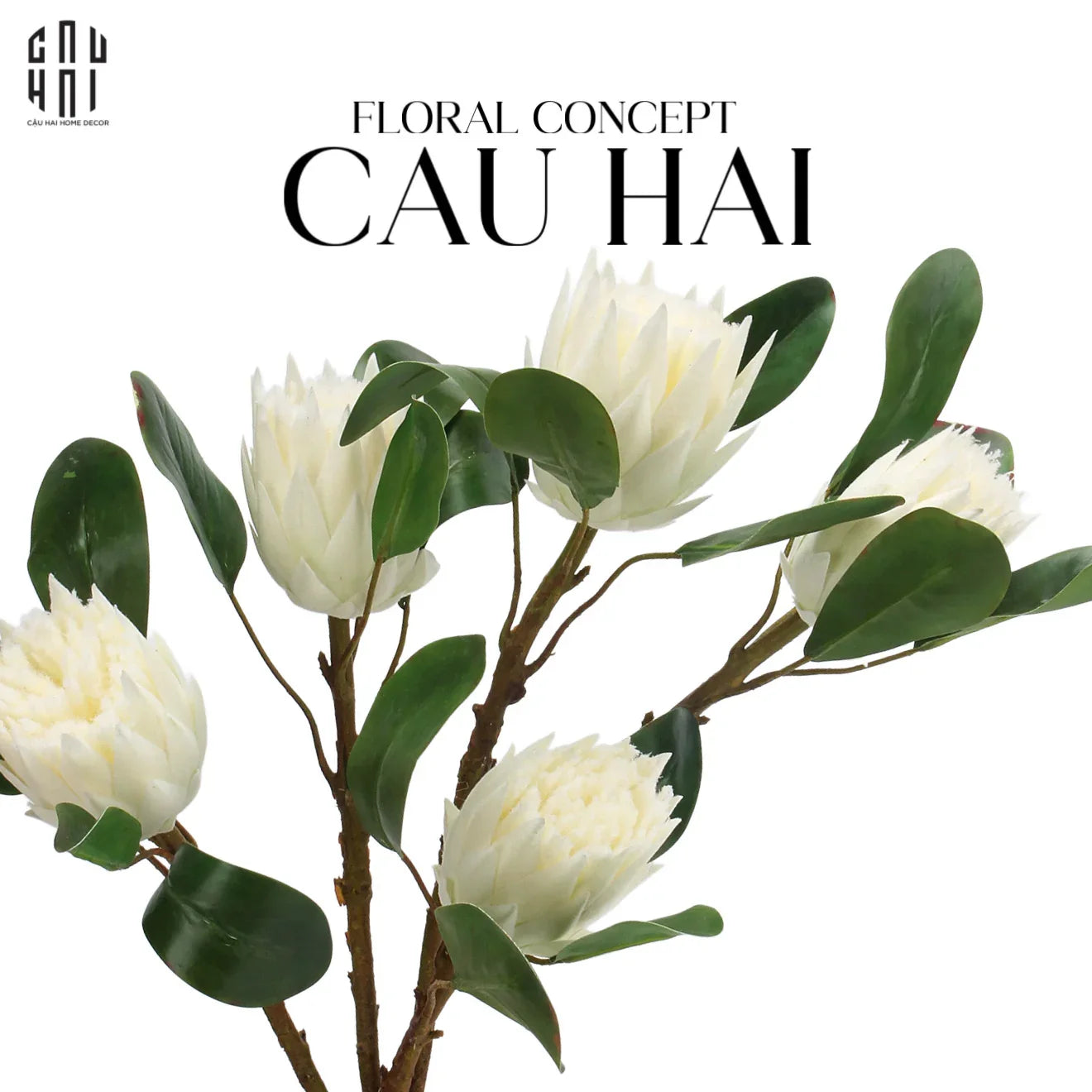 CÀNH HOA THẢO ĐƯỜNG HOÀNG ĐẾ PROTEA KING - WHITE - CẬU HAI HOME DECOR