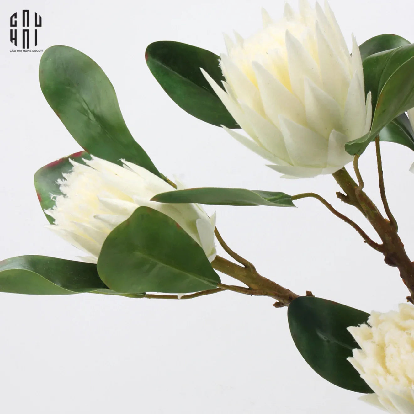 CÀNH HOA THẢO ĐƯỜNG HOÀNG ĐẾ PROTEA KING - WHITE - CẬU HAI HOME DECOR