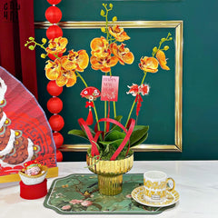 Chậu Hoa Lan Hồ Điệp - Quất Sắc-CẬU HAI HOME DECOR