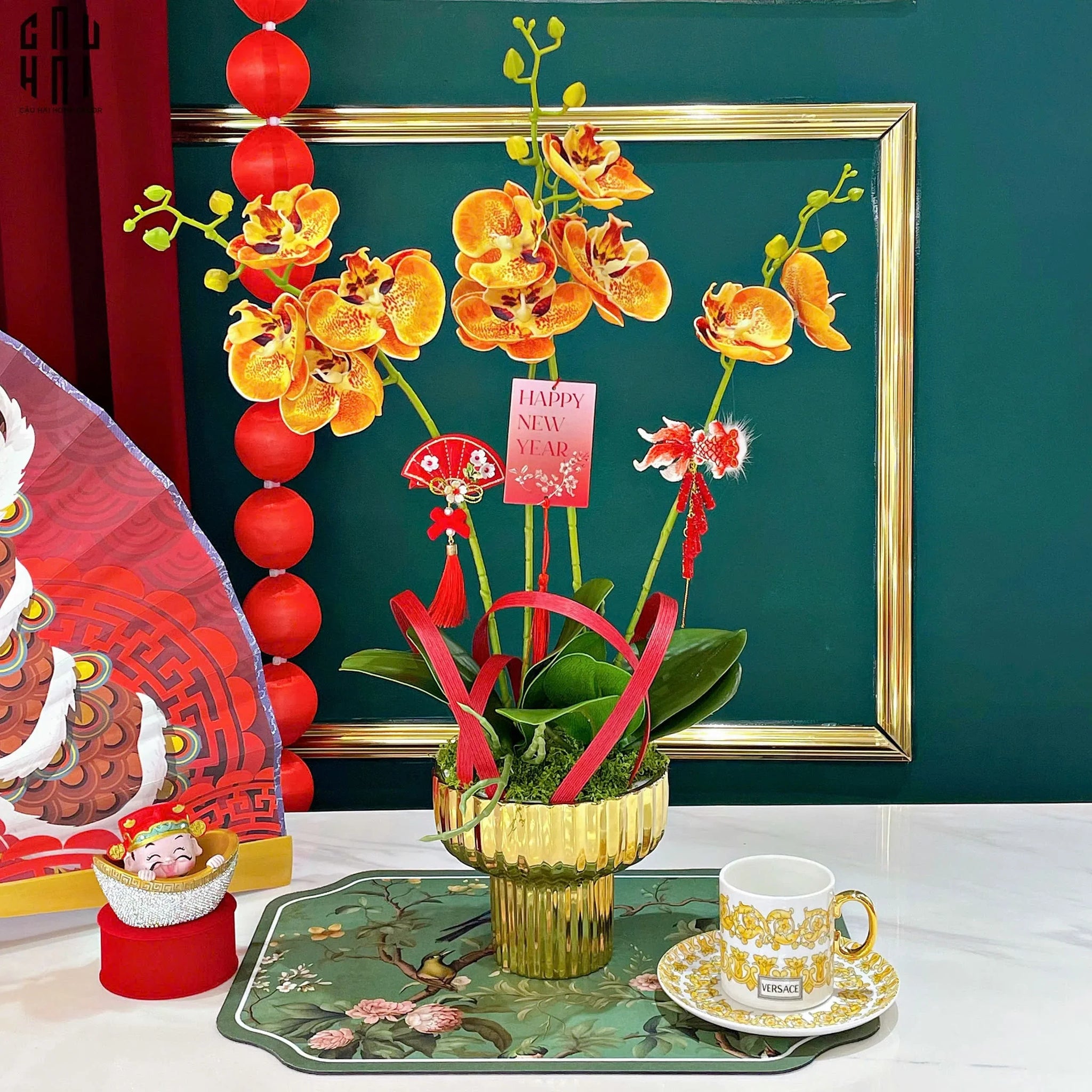 CHẬU HOA LAN HỒ ĐIỆP - QUẤT SẮC-CẬU HAI HOME DECOR