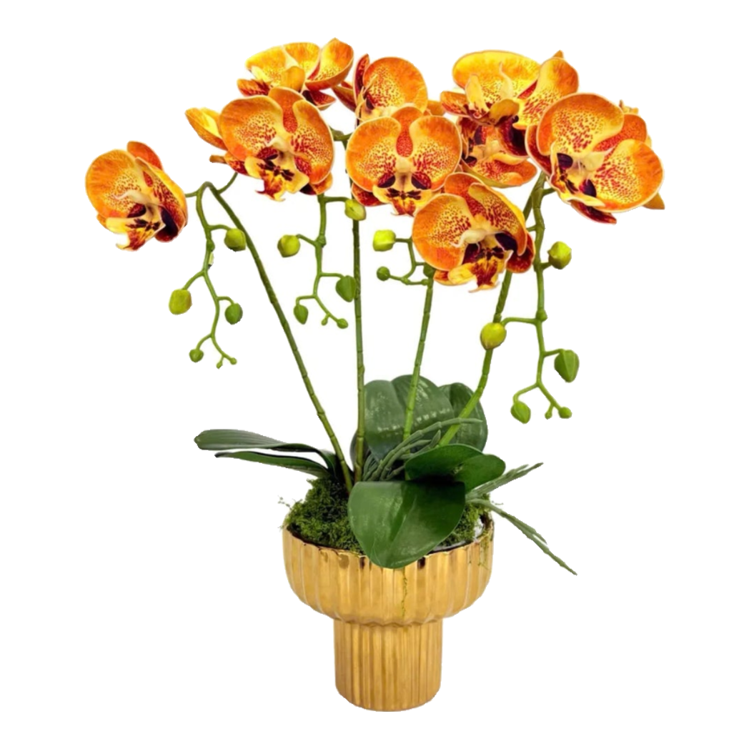Chậu Hoa Lan Hồ Điệp - Quất Sắc-BÌNH HOA-Đối tác tại Trung Quốc theo từng đơn đặt hàng-CẬU HAI HOME DECOR