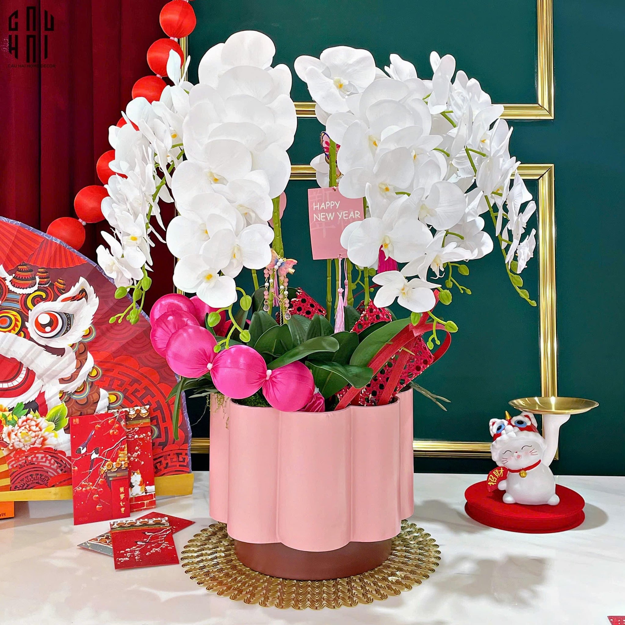 CHẬU HOA LAN HỒ ĐIỆP - TUYẾT BẠCH-CẬU HAI HOME DECOR