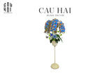 CHẬU HOA LAN ORCHID - SAPPHIRE BLOOM - CẬU HAI HOME DECOR