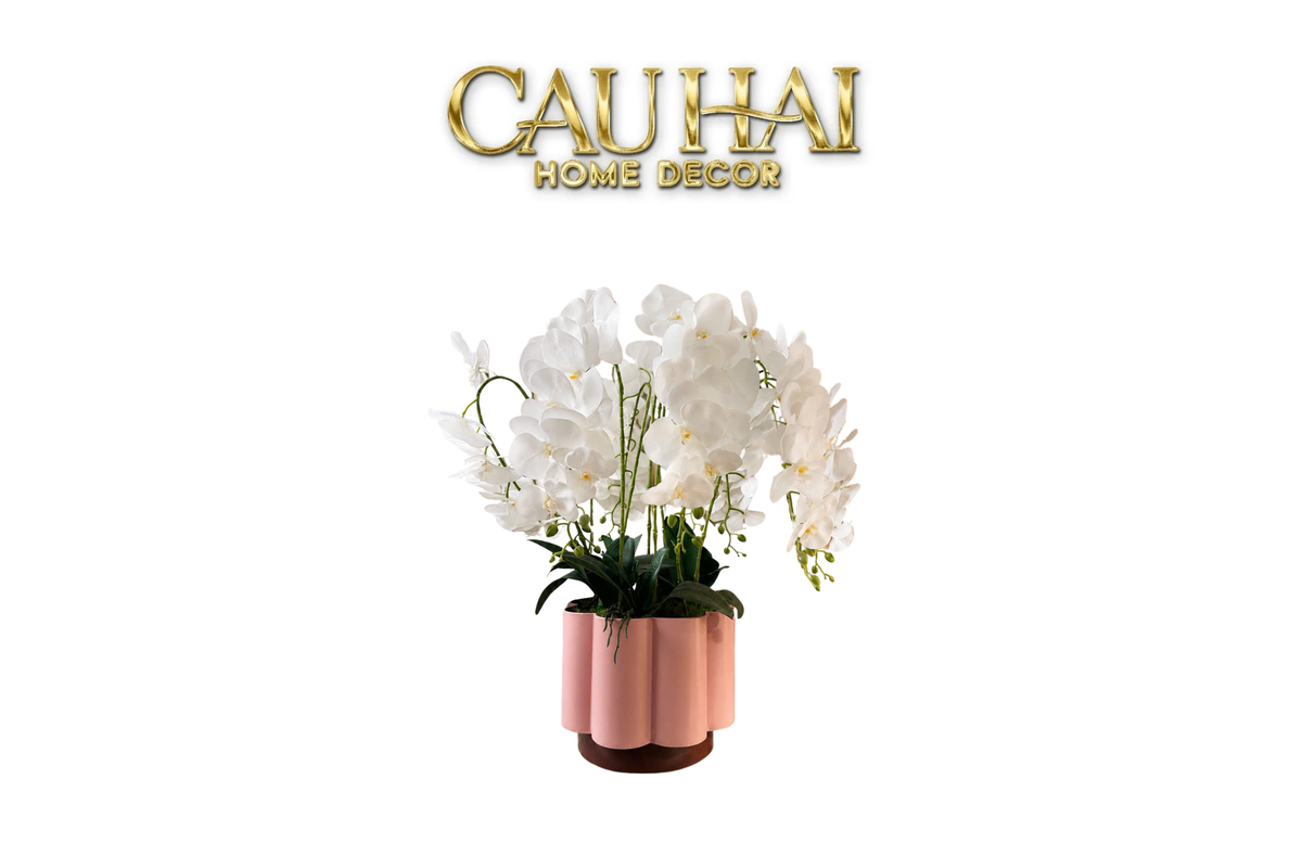 Chậu Lan Hồ Điệp Blanc Impérial H70-BÌNH HOA-CẬU HAI HOME DECOR-CẬU HAI HOME DECOR