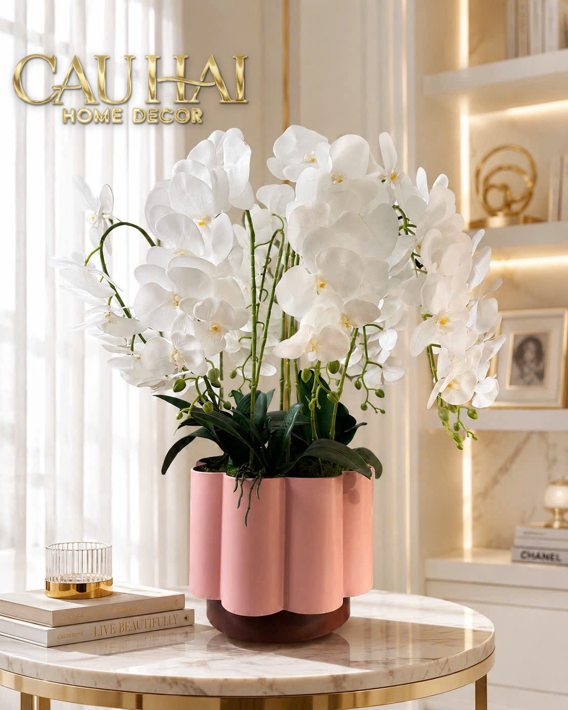 Chậu Lan Hồ Điệp Blanc Impérial H70-BÌNH HOA-CẬU HAI HOME DECOR-CẬU HAI HOME DECOR