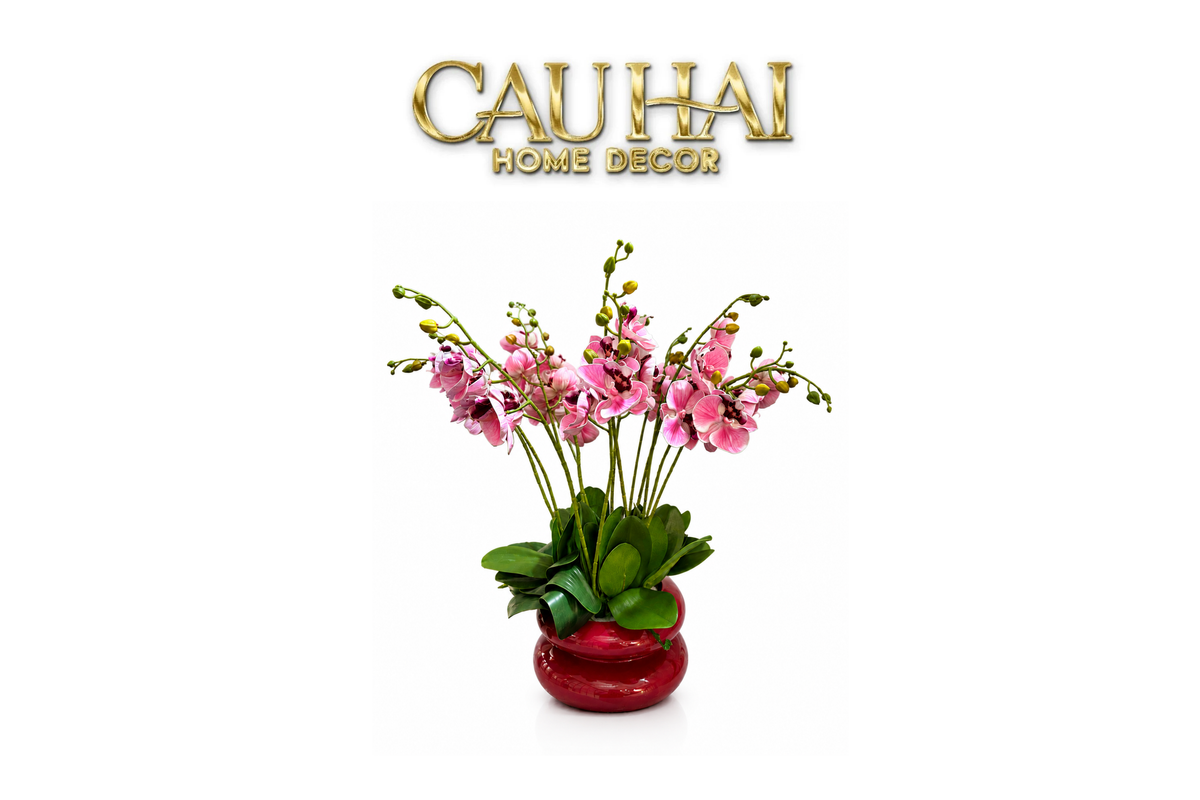 Chậu Lan Hồ Điệp Rosé Élégance H60-BÌNH HOA-CẬU HAI HOME DECOR-CẬU HAI HOME DECOR
