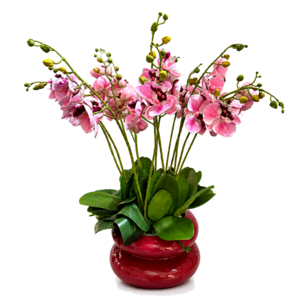 Chậu Lan Hồ Điệp Rosé Élégance H60-BÌNH HOA-CẬU HAI HOME DECOR-CẬU HAI HOME DECOR