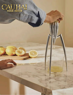 Elysian Fw25 - Tượng Kitchenware Spider Citron Chrome H29-CẬU HAI HOME DECOR