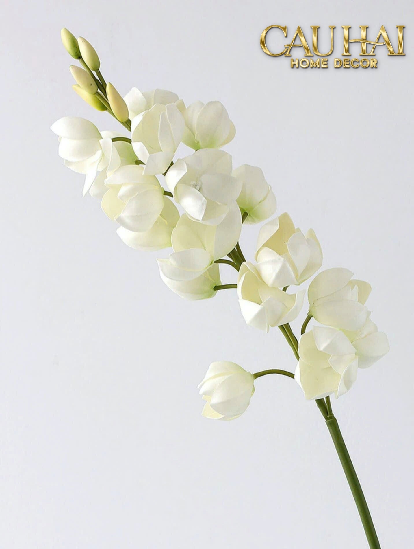 SET 2 CÀNH HOA LAN YUCCA-CẬU HAI HOME DECOR