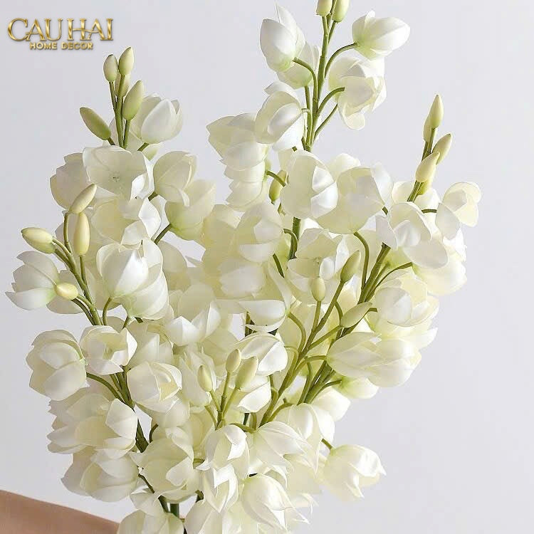 SET 2 CÀNH HOA LAN YUCCA-CẬU HAI HOME DECOR