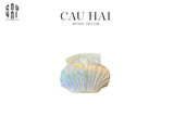 Hộp Khăn Giấy Ceramic White Seashell - CẬU HAI HOME DECOR