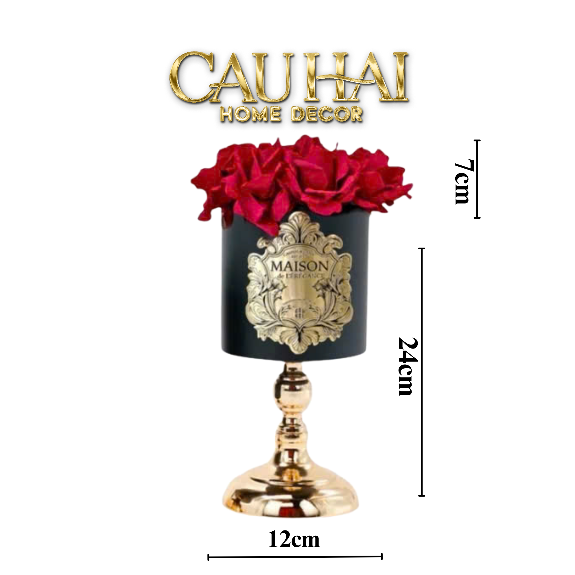 L’Essence Du Rose - Chậu Hoa Hồng D12 - CẬU HAI HOME DECOR