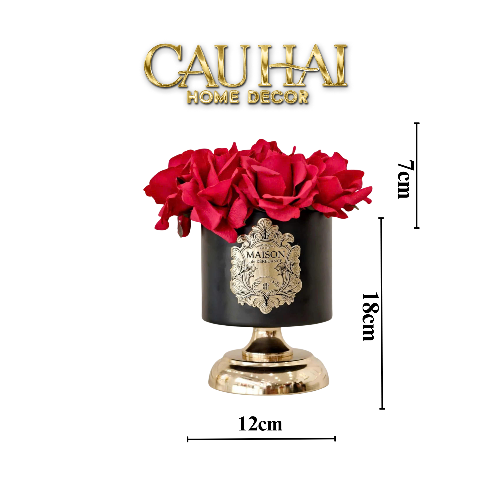 L’Essence Du Rose - Chậu Hoa Hồng D12 - CẬU HAI HOME DECOR