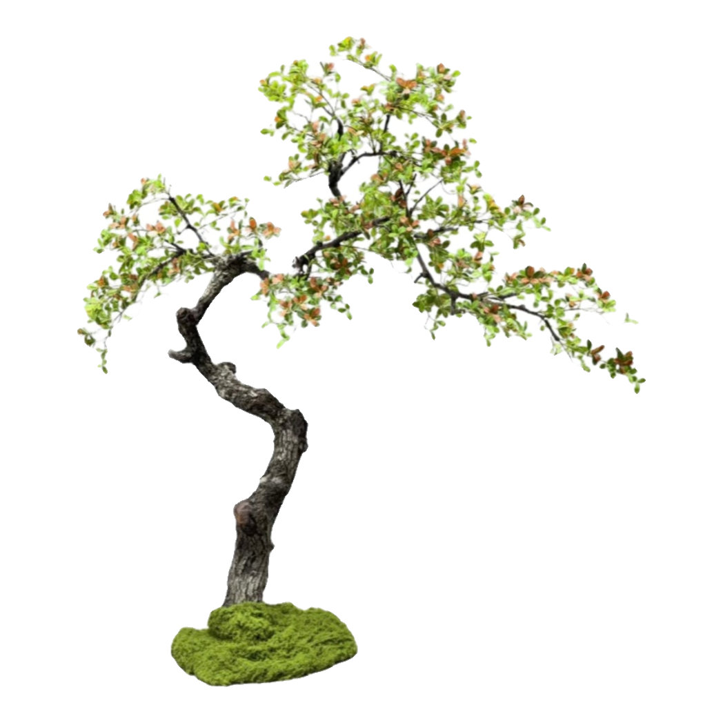 Maison Couture - Cây Bonsai Xuân Hoa Hải Đảo - Zen Sculpture H180 - Dáng Cây Đặt Theo Yêu Cầu-TƯỢNG TRANG TRÍ-CẬU HAI HOME DECOR-CẬU HAI HOME DECOR