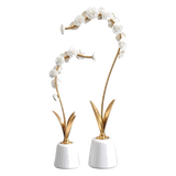 Maison Couture - Set 2 Tượng Hoa Hồng Gốm Sứ Roseraie Blanche D'Or 2pcs-Tượng Decor-CẬU HAI HOME DECOR-CẬU HAI HOME DECOR