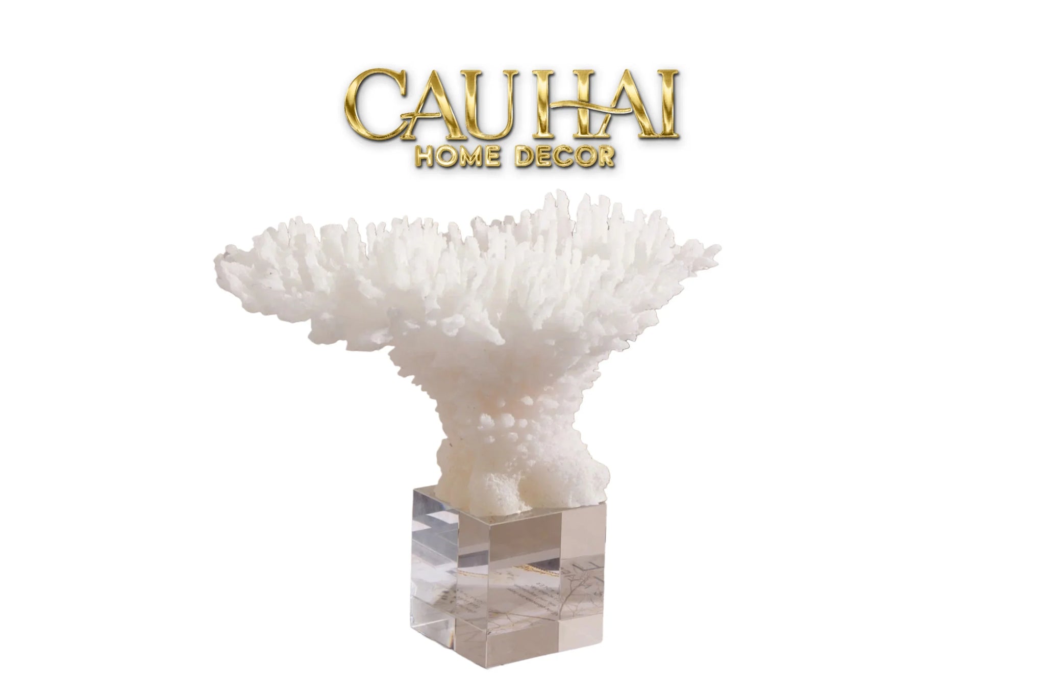 Maison Couture - Tượng San Hô Blanc De Mer Coral D'Ivoire-CẬU HAI HOME DECOR