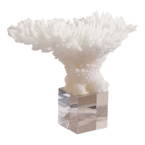 Maison Couture - Tượng San Hô Blanc De Mer Coral D'Ivoire-TƯỢNG TRANG TRÍ-Đối tác tại Trung Quốc theo từng đơn đặt hàng-CẬU HAI HOME DECOR