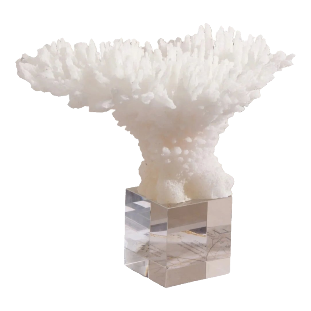 Maison Couture - Tượng San Hô Blanc De Mer Coral D'Ivoire-TƯỢNG TRANG TRÍ-Đối tác tại Trung Quốc theo từng đơn đặt hàng-CẬU HAI HOME DECOR